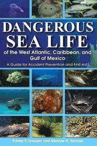 bokomslag Dangerous Sea Life of the West Atlantic, Caribbean, and Gulf of Mexico