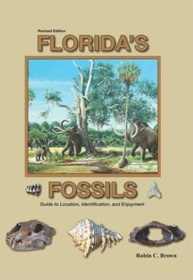 bokomslag Florida's Fossils, Third Edition