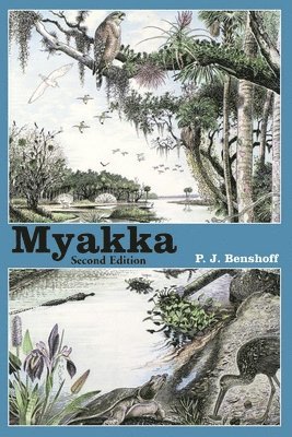 Myakka 1