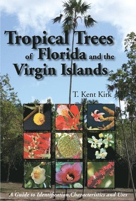 bokomslag Tropical Trees of Florida and the Virgin Islands