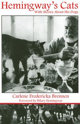 Hemingway's Cats 1