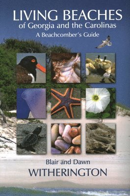 bokomslag Living Beaches of Georgia and the Carolinas
