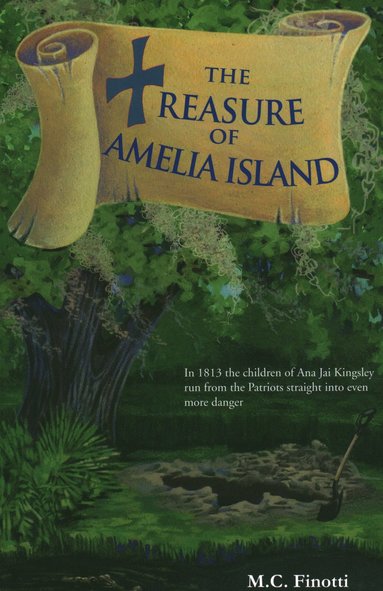 bokomslag Treasure of Amelia Island