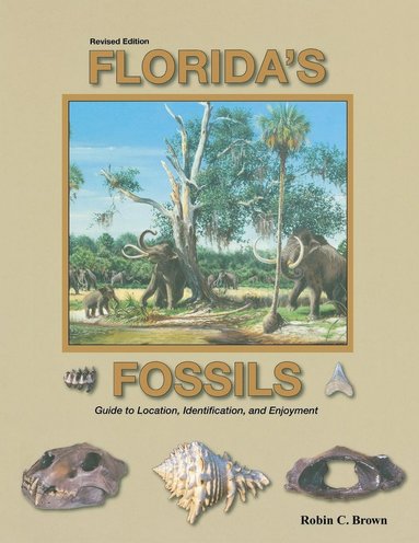 bokomslag Florida's Fossils