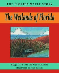bokomslag The Wetlands of Florida