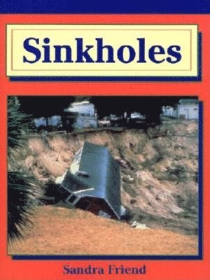 bokomslag Sinkholes