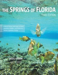 bokomslag The Springs of Florida