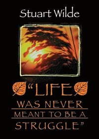 bokomslag Life Was Never Meant to Be a Struggle