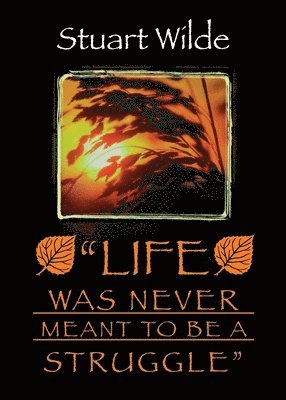 bokomslag Life Was Never Meant to Be a Struggle