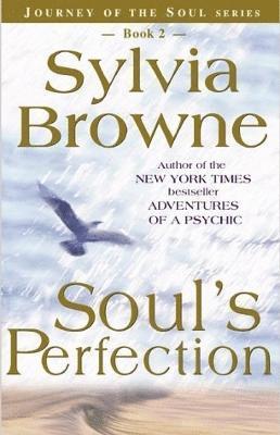 bokomslag Soul's Perfection