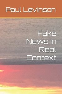 bokomslag Fake News in Real Context