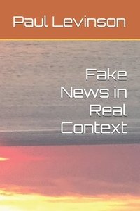 bokomslag Fake News in Real Context