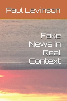 bokomslag Fake News in Real Context