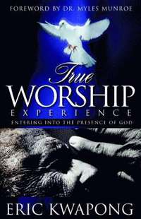 bokomslag True Worship Experience
