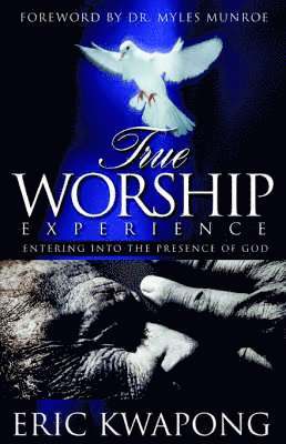 bokomslag True Worship Experience