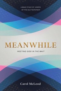 bokomslag Meanwhile: Meeting God in the Wait