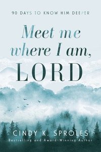 bokomslag Meet Me Where I Am, Lord