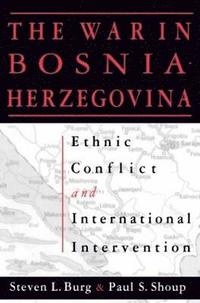 bokomslag The War in Bosnia-Herzegovina