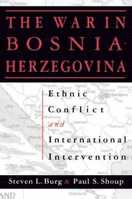 bokomslag The War in Bosnia-Herzegovina