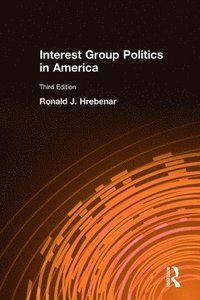 bokomslag Interest Group Politics in America