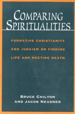 bokomslag Comparing Spiritualities