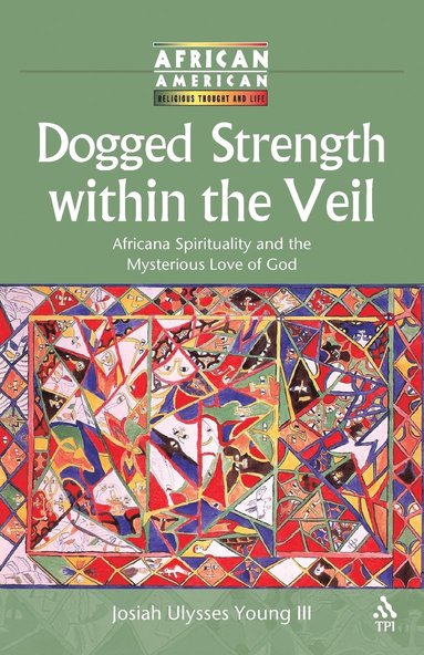 bokomslag Dogged Strength within the Veil