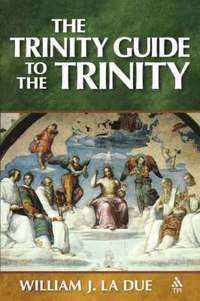 bokomslag The Trinity Guide to the Trinity