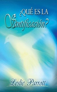 bokomslag Qué Es La Santificación