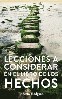 bokomslag Lecciones a considerar en el libro de los Hechos