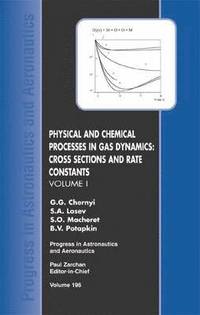 bokomslag Physical and Chemical Processes in Gas Dynamics
