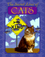 bokomslag Secret Lives Of Cats