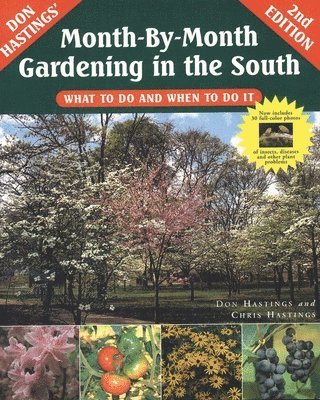 Month-By-Month Gardening in the South