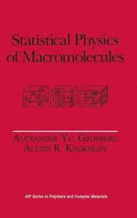 bokomslag Statistical Physics of Macromolecules