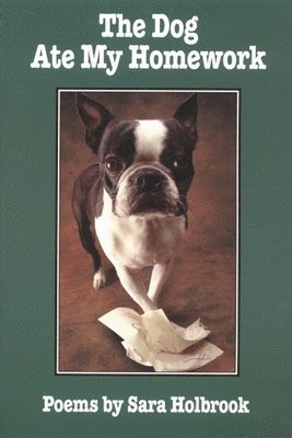 bokomslag Dog Ate My Homework