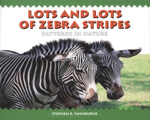 Lots and Lots of Zebra Stripes 1