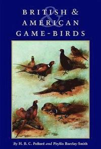 bokomslag British & American Game-Birds