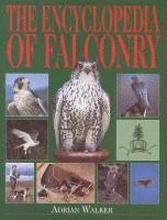 bokomslag Encyclopedia Of Falconry