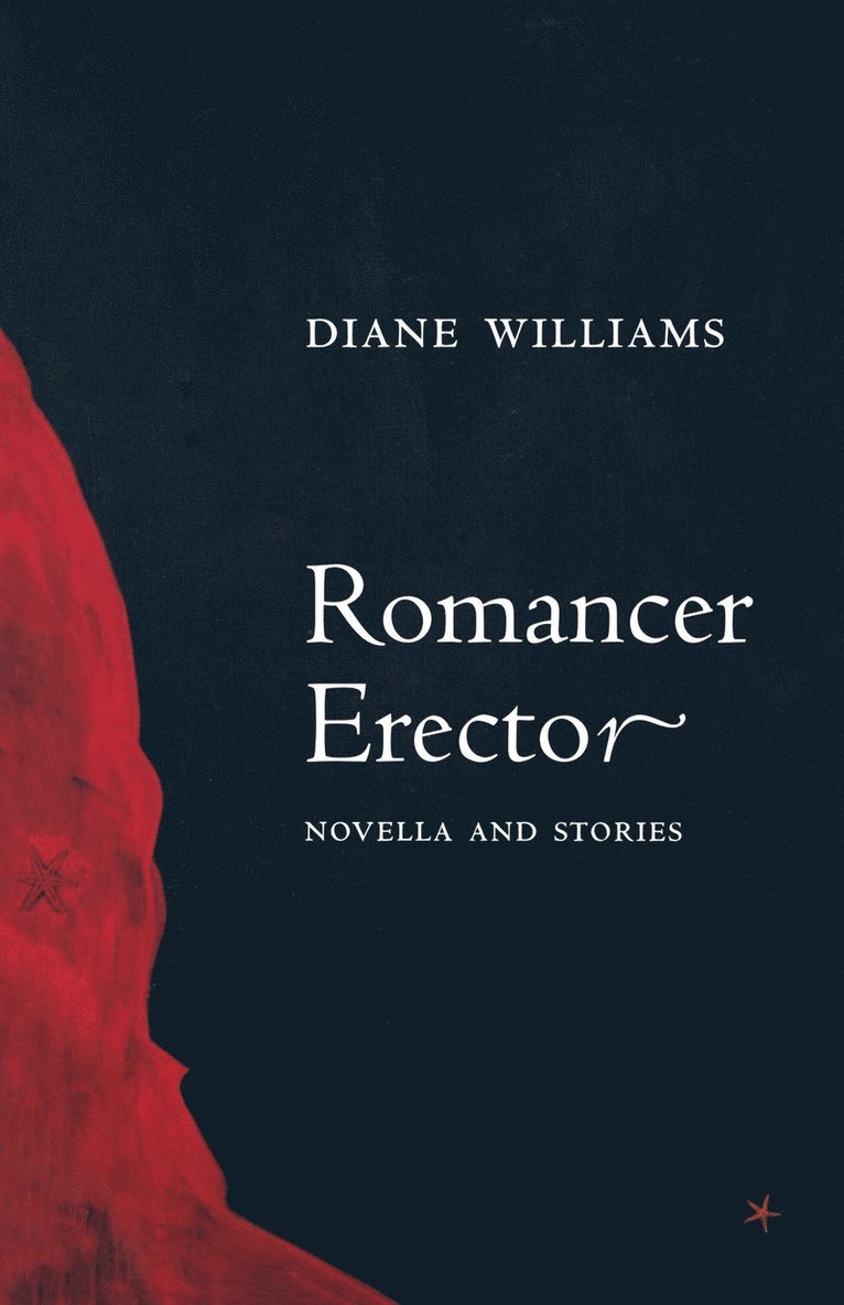 Diane Williams - Romancer Erector, Häftad