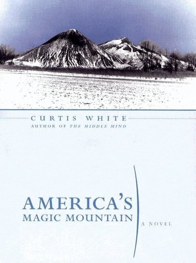 Curtis White - America's Magic Mountain, Häftad