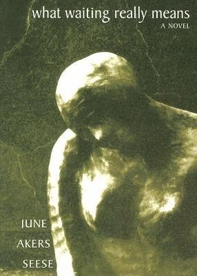 June Akers Seese - What Waiting Really Means, Häftad
