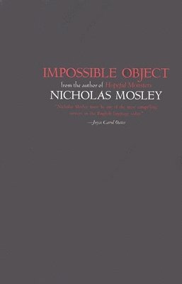 Impossible Object 1