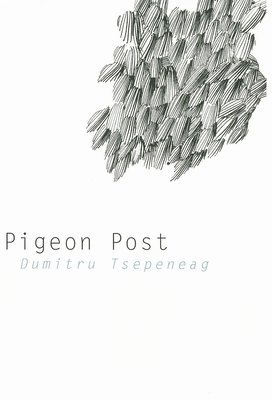 bokomslag Pigeon Post