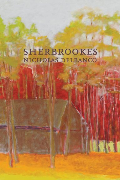 Nicholas Delbanco - Sherbrookes, Häftad
