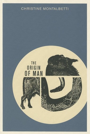 Christine Montalbetti - Origin of Man, Häftad