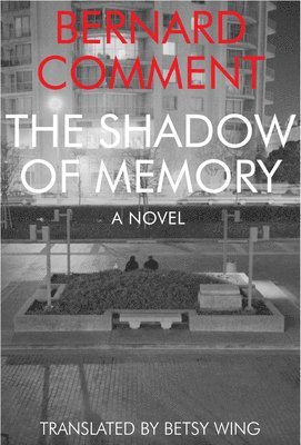 The Shadow of Memory 1