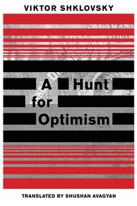 bokomslag A Hunt for Optimism