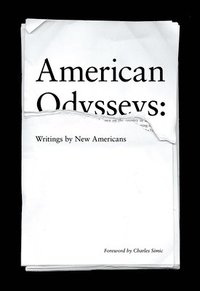 bokomslag American Odysseys