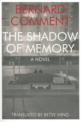 Shadow of Memory 1