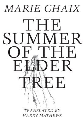 bokomslag The Summer of the Elder Tree