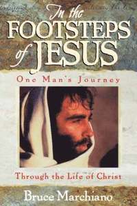 bokomslag In the Footsteps of Jesus